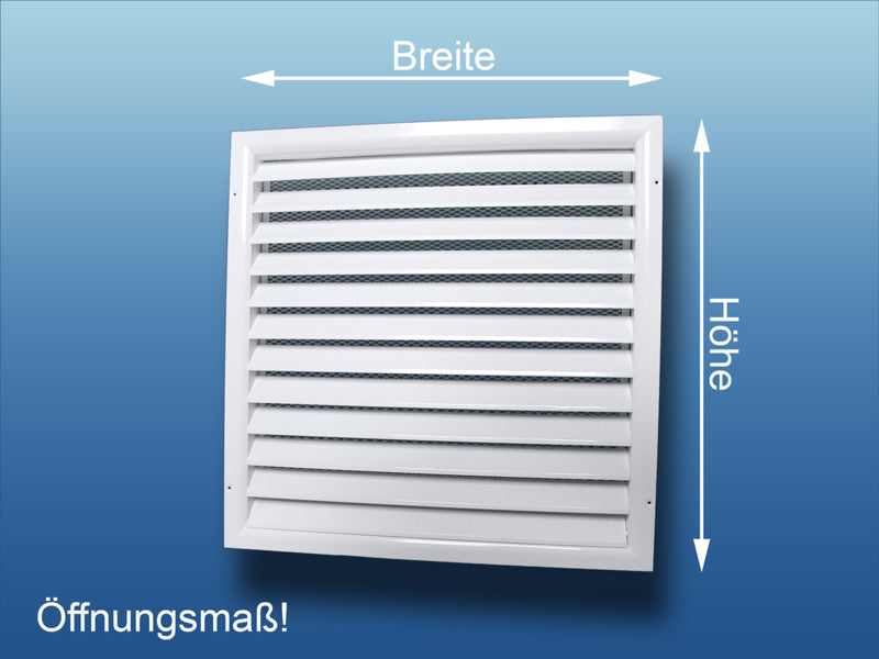 K1131-5558961f1beb32